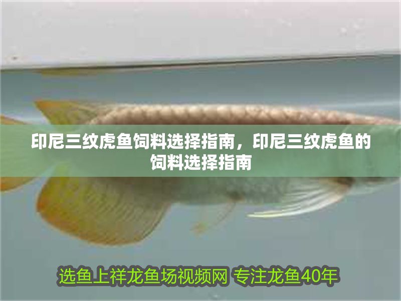 印尼三紋虎魚飼料選擇指南，印尼三紋虎魚的飼料選擇指南