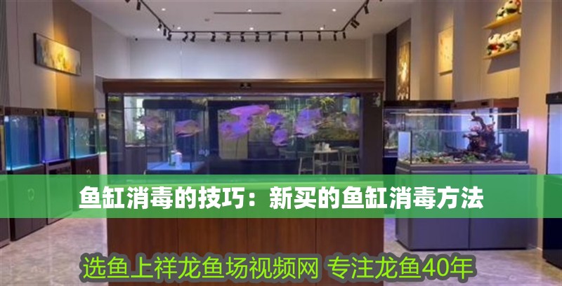 魚缸消毒的技巧：新買的魚缸消毒方法