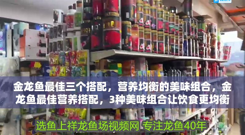 金龍魚最佳三個搭配，營養(yǎng)均衡的美味組合，金龍魚最佳營養(yǎng)搭配，3種美味組合讓飲食更均衡