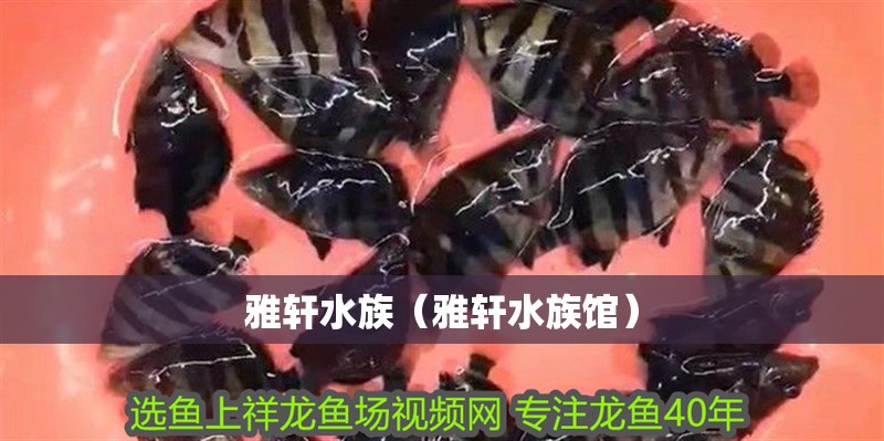 雅軒水族（雅軒水族館）