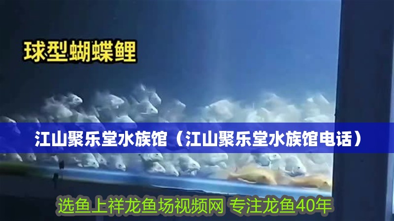 江山聚樂堂水族館（江山聚樂堂水族館電話）