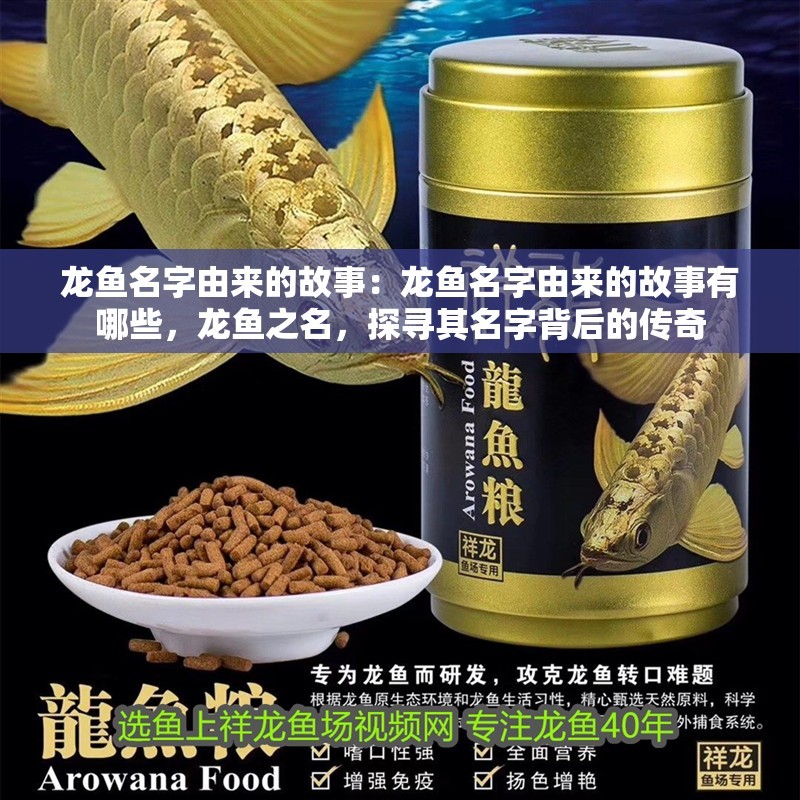 龍魚名字由來的故事：龍魚名字由來的故事有哪些，龍魚之名，探尋其名字背后的傳奇