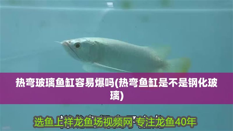 熱彎玻璃魚缸容易爆嗎(熱彎魚缸是不是鋼化玻璃)