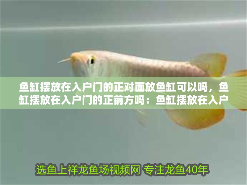 魚缸擺放在入戶門的正對面放魚缸可以嗎，魚缸擺放在入戶門的正前方嗎：魚缸擺放在入戶門的正對方可以嗎？