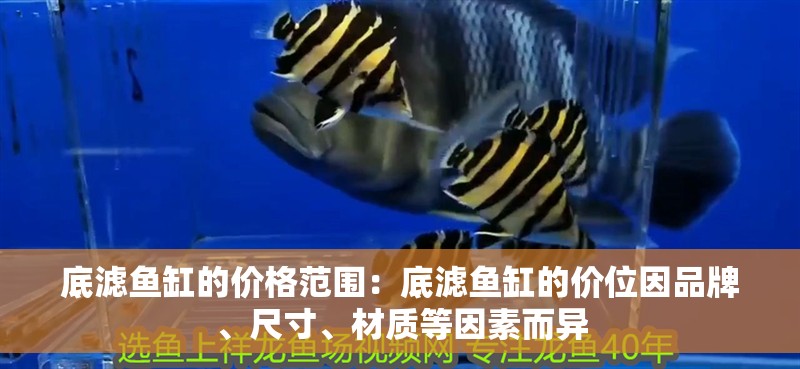 底濾魚缸的價格范圍：底濾魚缸的價位因品牌、尺寸、材質(zhì)等因素而異
