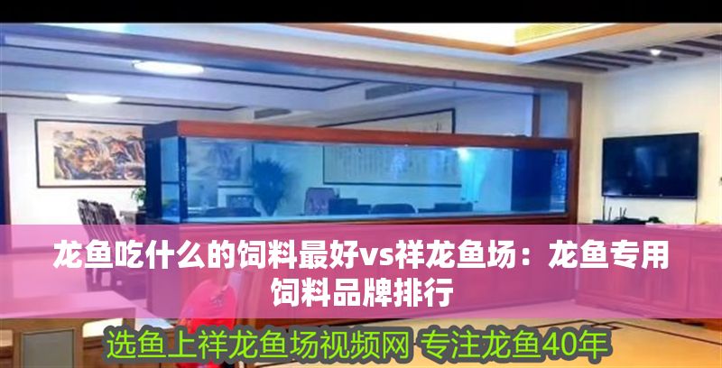 龍魚吃什么的飼料最好vs祥龍魚場：龍魚專用飼料品牌排行