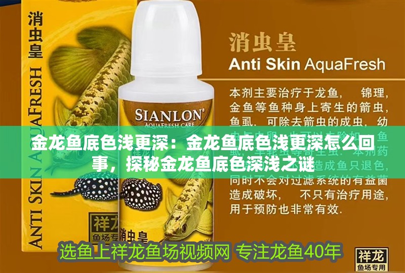 金龍魚底色淺更深：金龍魚底色淺更深怎么回事，探秘金龍魚底色深淺之謎