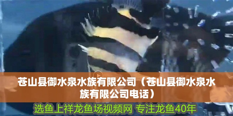 蒼山縣御水泉水族有限公司（蒼山縣御水泉水族有限公司電話(huà)）