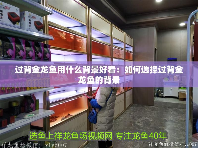 過背金龍魚用什么背景好看：如何選擇過背金龍魚的背景