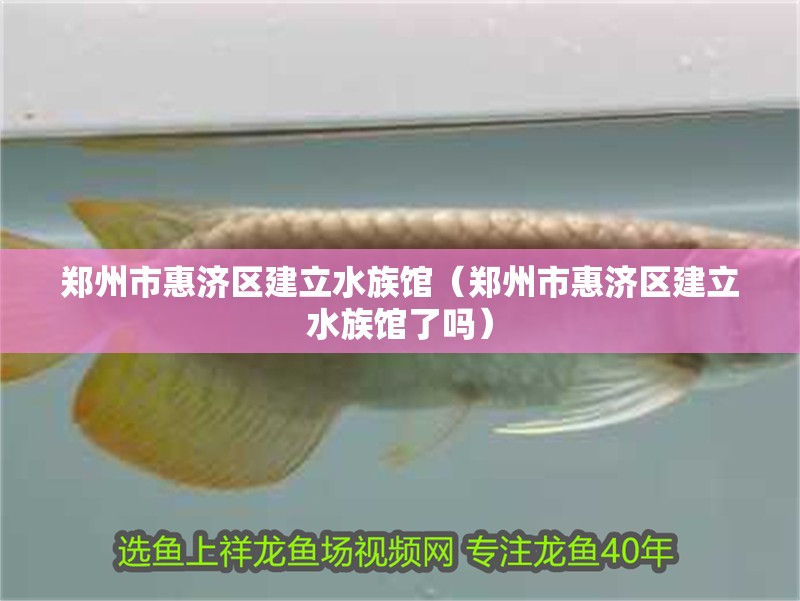 鄭州市惠濟區建立水族館（鄭州市惠濟區建立水族館了嗎）