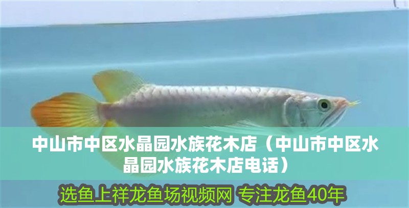 中山市中區(qū)水晶園水族花木店(中山市中區(qū)水晶園水族花木店電話) 全國水族館企業(yè)名錄 第2張 中山市中區(qū)水晶園水族花木店(中山市中區(qū)水晶園水族花木店電話) 中山市中區(qū)水晶園水族花木店(中山市中區(qū)水晶園水族花木店電話) 全國水族館企業(yè)名錄 第2張