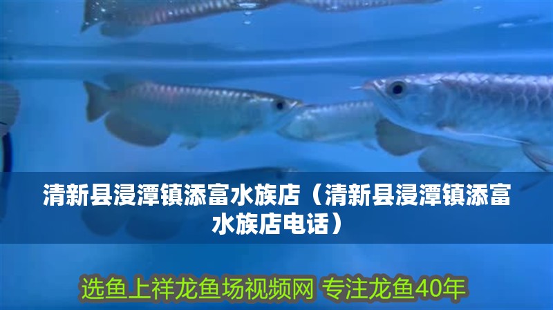 清新縣浸潭鎮(zhèn)添富水族店（清新縣浸潭鎮(zhèn)添富水族店電話）