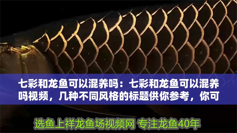七彩和龍魚可以混養(yǎng)嗎：七彩和龍魚可以混養(yǎng)嗎視頻，幾種不同風(fēng)格的標(biāo)題供你參考，你可以根據(jù)需求進(jìn)行選擇，，深度解析，七彩與龍魚能否混養(yǎng)？附視頻解答，揭秘！七彩和龍魚到底能不能混養(yǎng)？看這個(gè)視頻就知道，必看視頻，七彩、龍魚混養(yǎng)可行性全揭秘