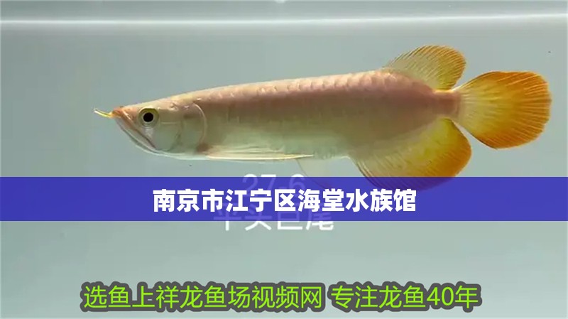 南京市江寧區(qū)海堂水族館