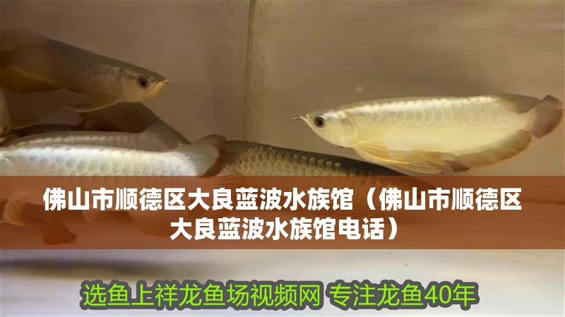 佛山市順德區大良藍波水族館（佛山市順德區大良藍波水族館電話） 佛山市順德區大良藍波水族館（佛山市順德區大良藍波水族館電話） 全國水族館企業名錄 第2張