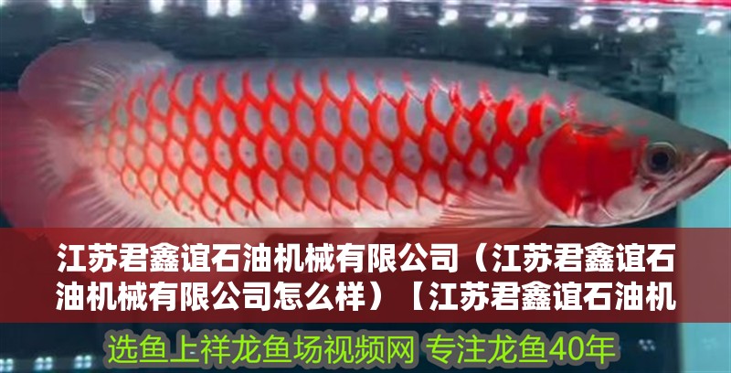 江蘇君鑫誼石油機械有限公司（江蘇君鑫誼石油機械有限公司怎么樣）【江蘇君鑫誼石油機械有限公司】