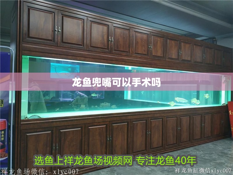 龍魚兜嘴可以手術(shù)嗎