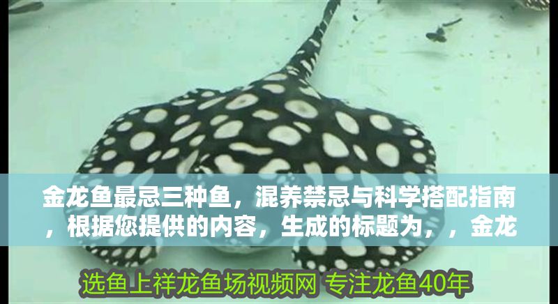 金龍魚最忌三種魚，混養(yǎng)禁忌與科學(xué)搭配指南，根據(jù)您提供的內(nèi)容，生成的標(biāo)題為，，金龍魚混養(yǎng)三大禁忌，避坑指南與科學(xué)搭配技巧