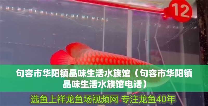 句容市華陽鎮(zhèn)品味生活水族館（句容市華陽鎮(zhèn)品味生活水族館電話）