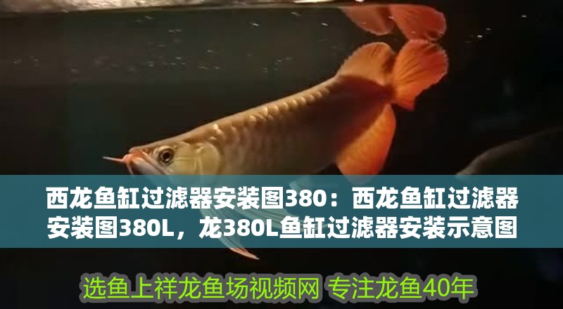 西龍魚缸過濾器安裝圖380：西龍魚缸過濾器安裝圖380L，龍380L魚缸過濾器安裝示意圖