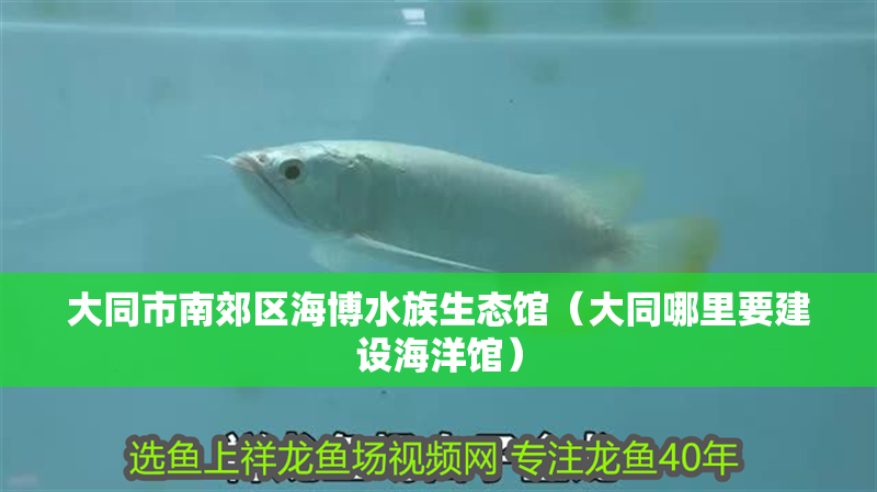 大同市南郊區海博水族生態館（大同哪里要建設海洋館）