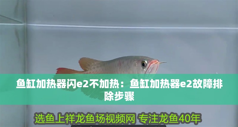魚缸加熱器閃e2不加熱：魚缸加熱器e2故障排除步驟