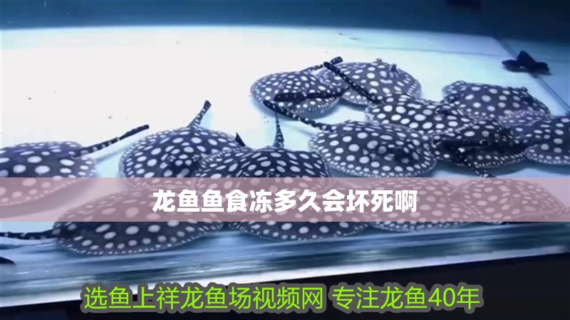 龍魚魚食凍多久會壞死啊
