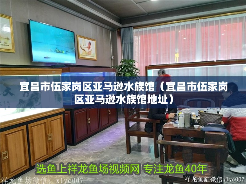 宜昌市伍家崗區亞馬遜水族館（宜昌市伍家崗區亞馬遜水族館地址）