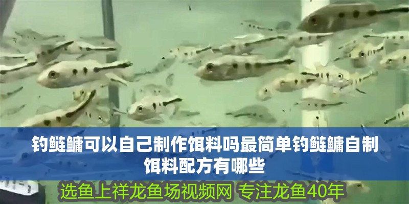 釣鰱鳙可以自己制作餌料嗎最簡單釣鰱鳙自制餌料配方有哪些