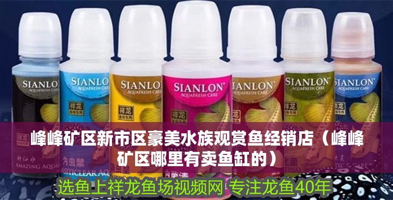 峰峰礦區(qū)新市區(qū)豪美水族觀賞魚(yú)經(jīng)銷(xiāo)店（峰峰礦區(qū)哪里有賣(mài)魚(yú)缸的）