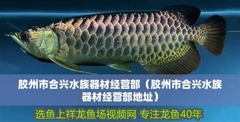膠州市合興水族器材經(jīng)營(yíng)部（膠州市合興水族器材經(jīng)營(yíng)部地址）
