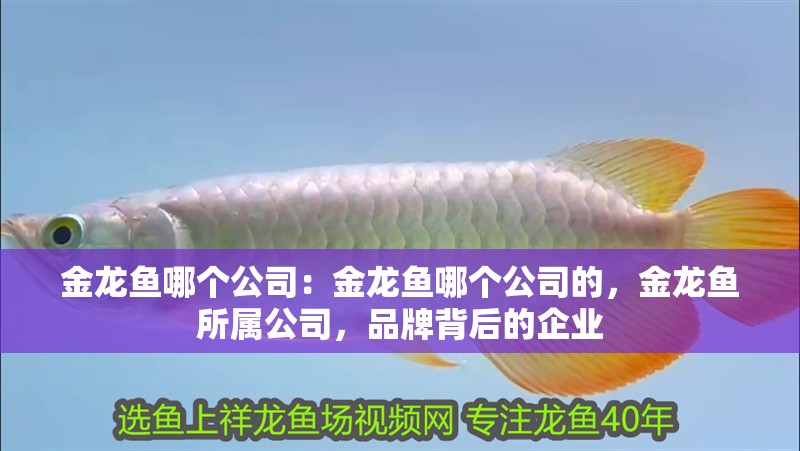 金龍魚哪個公司：金龍魚哪個公司的，金龍魚所屬公司，品牌背后的企業