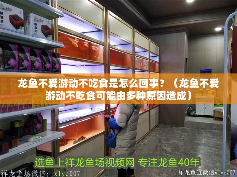 龍魚不愛游動(dòng)不吃食是怎么回事？（龍魚不愛游動(dòng)不吃食可能由多種原因造成）