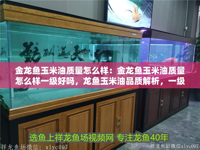 金龍魚玉米油質量怎么樣：金龍魚玉米油質量怎么樣一級好嗎，龍魚玉米油品質解析，一級標準