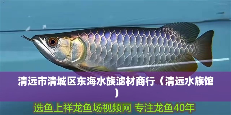 清遠市清城區東海水族濾材商行（清遠水族館） 清遠市清城區東海水族濾材商行（清遠水族館） 全國水族館企業名錄 第2張