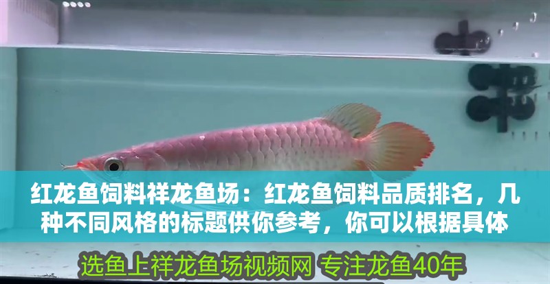 紅龍魚飼料祥龍魚場(chǎng)：紅龍魚飼料品質(zhì)排名，幾種不同風(fēng)格的標(biāo)題供你參考，你可以根據(jù)具體需求進(jìn)行選擇，，祥龍魚場(chǎng)紅龍魚飼料，品質(zhì)排名大揭秘，聚焦祥龍魚場(chǎng)！紅龍魚飼料品質(zhì)排名全解析，探秘祥龍魚場(chǎng)，解鎖紅龍