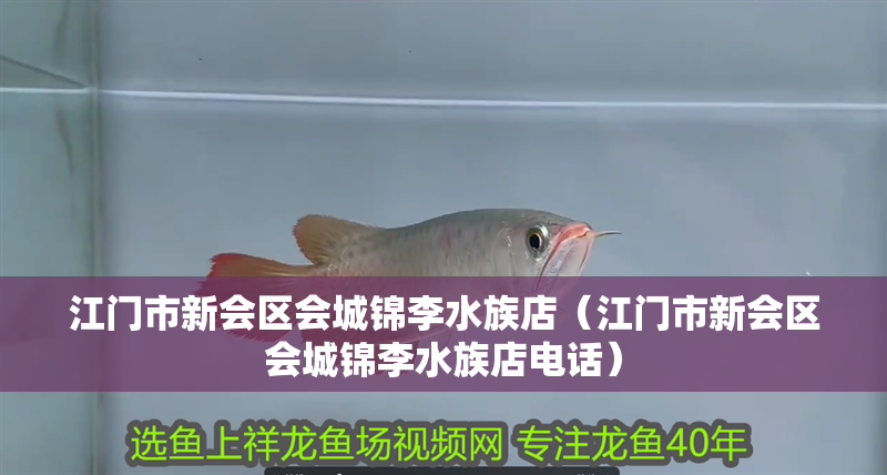 江門市新會區會城錦李水族店（江門市新會區會城錦李水族店電話）