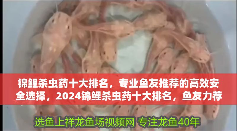 錦鯉殺蟲藥十大排名，專業魚友推薦的高效安全選擇，2024錦鯉殺蟲藥十大排名，魚友力薦的高效安全品牌