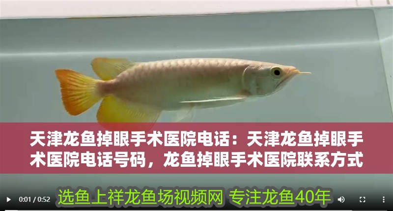 天津龍魚掉眼手術醫院電話：天津龍魚掉眼手術醫院電話號碼，龍魚掉眼手術醫院聯系方式及電話