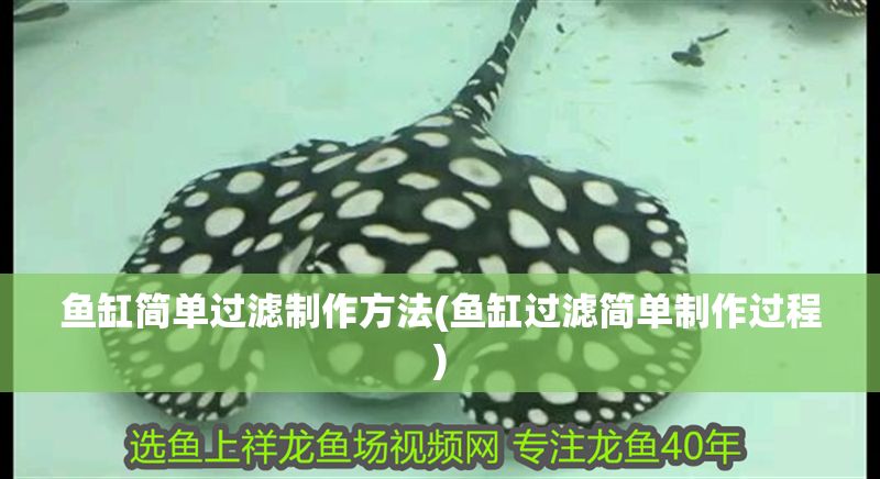 魚缸簡單過濾制作方法(魚缸過濾簡單制作過程)