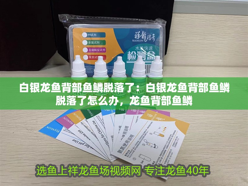 白銀龍魚背部魚鱗脫落了：白銀龍魚背部魚鱗脫落了怎么辦，龍魚背部魚鱗