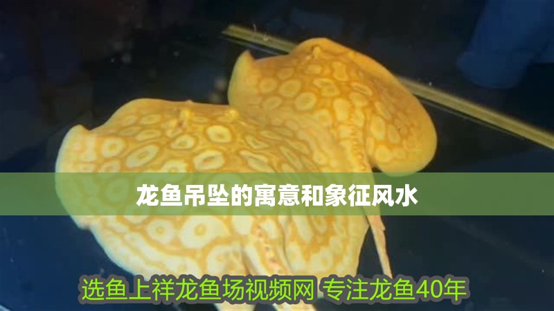 龍魚吊墜的寓意和象征風水