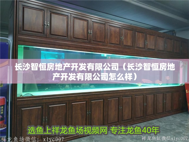 長沙智恒房地產開發有限公司（長沙智恒房地產開發有限公司怎么樣）