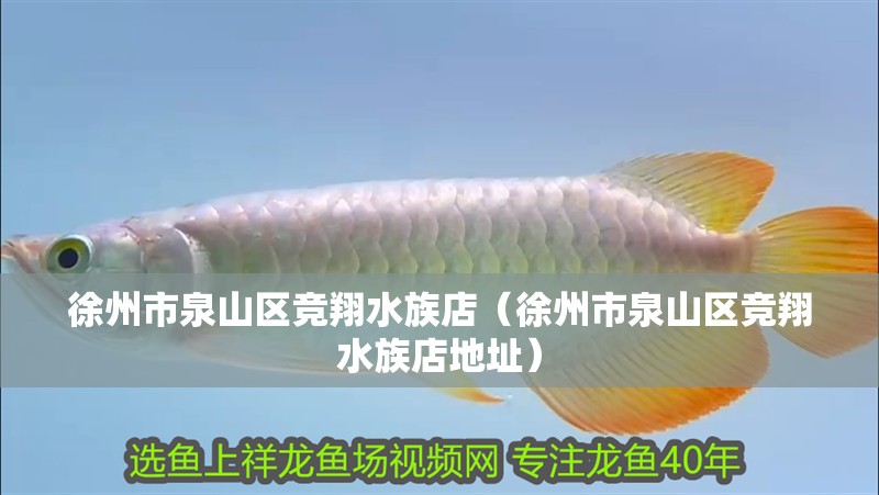徐州市泉山區(qū)競翔水族店（徐州市泉山區(qū)競翔水族店地址）