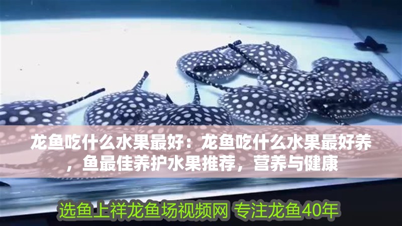 龍魚吃什么水果最好：龍魚吃什么水果最好養，魚最佳養護水果推薦，營養與健康