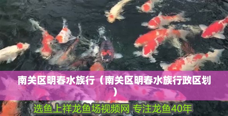 南關區明春水族行（南關區明春水族行政區劃）