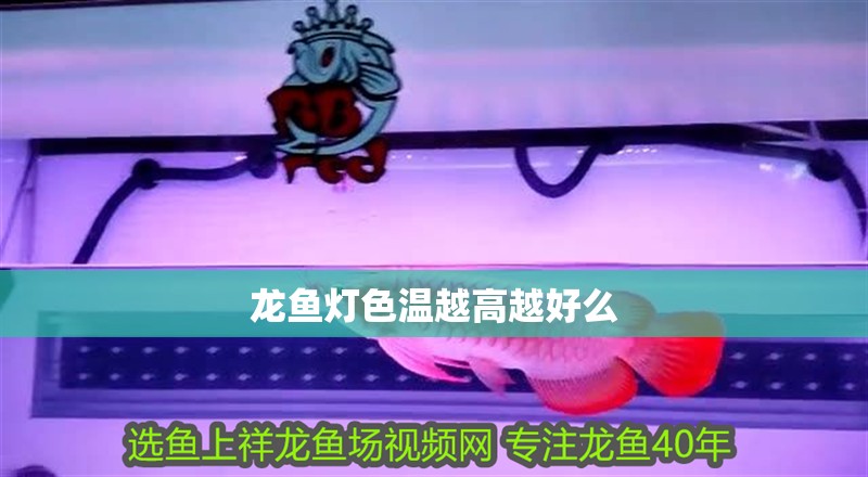 龍魚燈色溫越高越好么