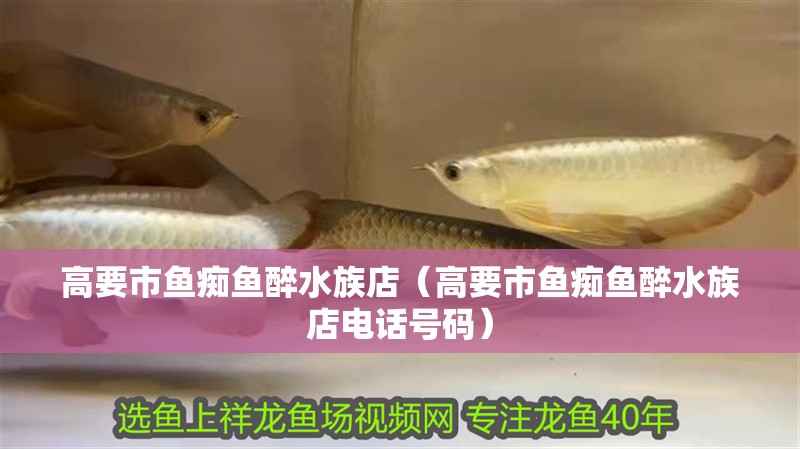 高要市魚癡魚醉水族店(高要市魚癡魚醉水族店電話號碼) 全國水族館企業名錄 第2張 高要市魚癡魚醉水族店(高要市魚癡魚醉水族店電話號碼) 高要市魚癡魚醉水族店(高要市魚癡魚醉水族店電話號碼) 全國水族館企業名錄 第2張