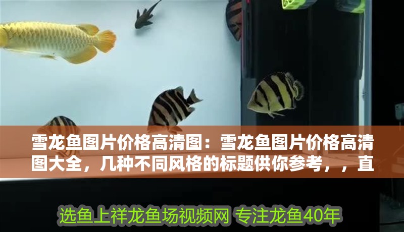 詳細閱讀:雪龍魚圖片價格高清圖:雪龍魚圖片價格高清圖大全,幾種不同風格的標題供你參考,,直白實用風,雪龍魚高清圖片及價格全覽,吸引眼球風,驚艷!雪龍魚高清美圖與詳細價格大揭秘,簡潔明了風,雪龍魚高清圖鑒+ 雪龍魚圖片價格高清圖:雪龍魚圖片價格高清圖大全,幾種不同風格的標題供你參考,,直白實用風,雪龍魚高清圖片及價格全覽,吸引眼球風,驚艷!雪龍魚高清美圖與詳細價格大揭秘,簡潔明了風,雪龍魚高清圖鑒+