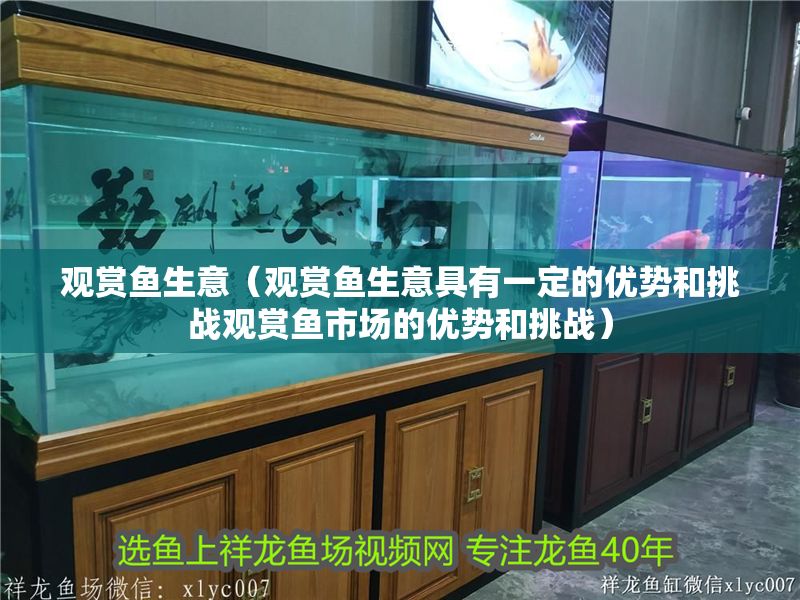 觀賞魚生意（觀賞魚生意具有一定的優勢和挑戰觀賞魚市場的優勢和挑戰）